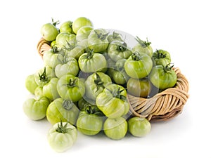 Basket filled with green tomatoes