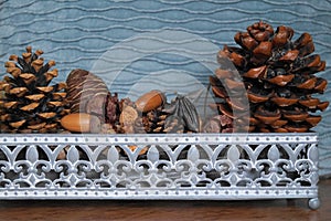 Basket with fir cones, cones enupar and acorn