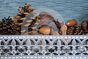 Basket with fir cones, cones enupar and acorn