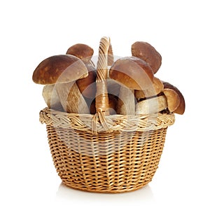 Basket fool of Boletus mushrooms isolated on white background. Vegetarian healthy food. Healthy food background.