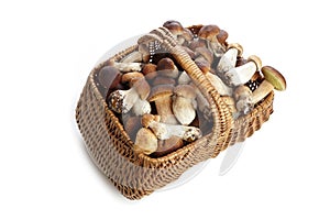 Basket fool of Boletus mushrooms isolated on white background. Vegetarian healthy food. Healthy food background.