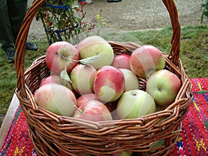Basket of fresh apples