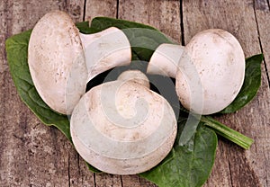 Basket with fresh champions on an old wooden background