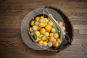 Basket of Fresh Citrus