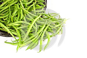 Basket of fresh green beans spilled out