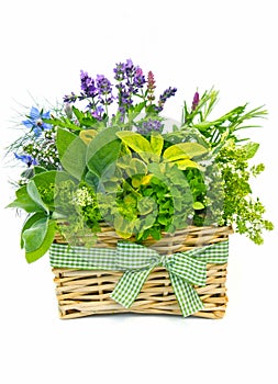 Basket of fresh herbs