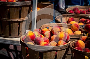 Basket of fresh peaches at a farmers market