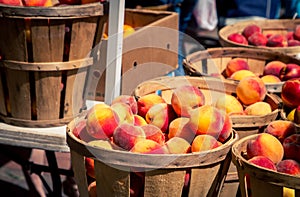 Basket of fresh peaches at a farmers market