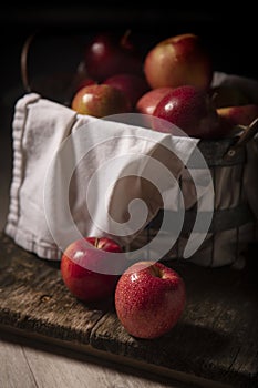 Basket of Fresh Picked Apple