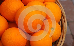 A Basket of Fresh Picked Ripe Juicy Oranges