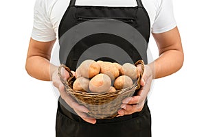 Basket with fresh potatoes in the hands of a farmer on a white background. Harvesting