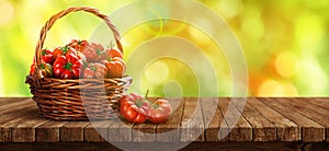 Basket of fresh, red tomatoes and garden