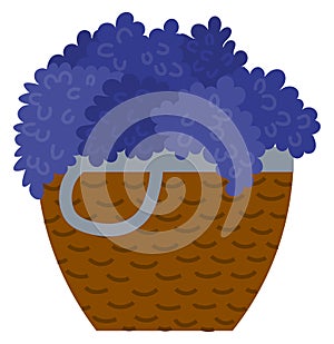 Basket with Fresh Ripe Grapes, Red Wine Vector