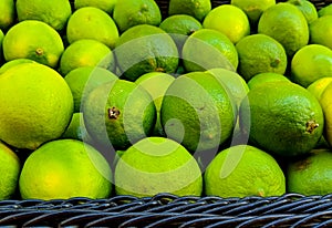 Basket of Fresh, Ripe, Juicy Organic Limes