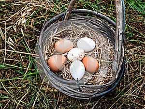 Basket of fresh straw eggs in a rural atmosphere