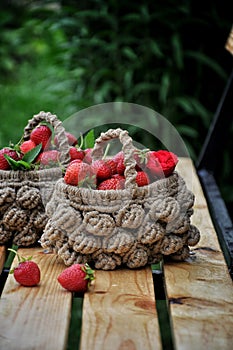 Basket of fresh strawberries on a background of a green garden and tree branches