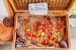 Basket of fresh tomatoes display at farmers market