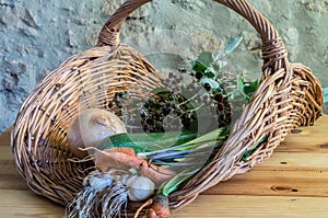Basket of fresh vegetables