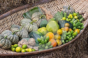 Basket with fresh vegetables photo