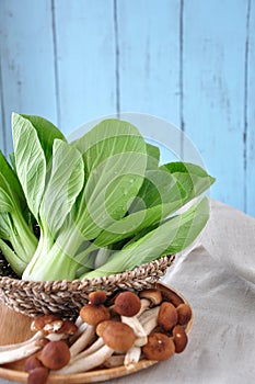 Basket of Fresh Veggie and Mushroom