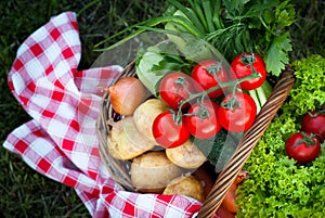 Basket with freshvegetables