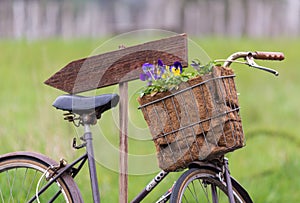 A Basket on the Front of an Old Bicycle full of Flowers