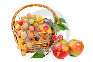 Basket of fruit : apples , grapes , peaches and plums