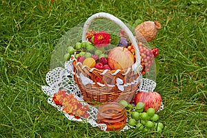 A basket of fruits on the grass,Organic fruit in basket in summer grass. Fresh grapes, pears and apples in nature