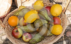 Basket of fruits on the market in the 1700s