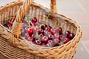 A basket full of bright red freshly picked early sweet cherries