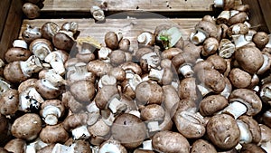 Basket Full Of Champignons