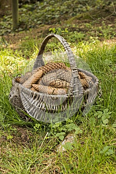 Basket full of cones