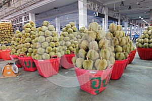 Basket full of durians at Talad Thai fruits market