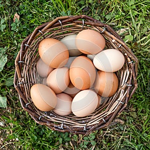 Basket full of eggs on the grass. Top view.