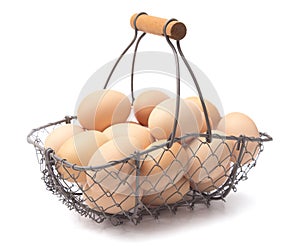 A Basket Full of Fresh Farm Eggs