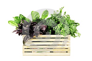 Basket full of fresh herbs