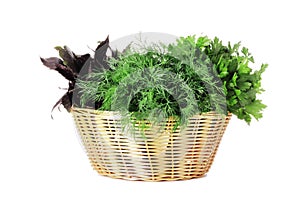 Basket full of fresh herbs isolated