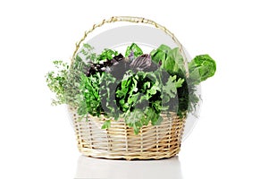 Basket full of fresh herbs isolated on white