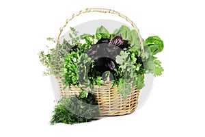 Basket full of fresh herbs isolated on white