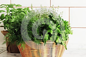 A basket full of fresh herbs on the kitchen