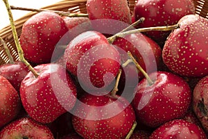 Basket full with fresh picked red hawthorne berry close up