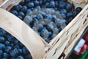 A basket full of fresh ripe blueberries