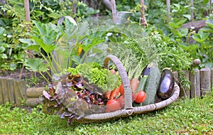 Basket full of freshness vegetables