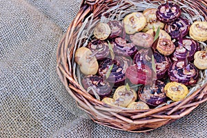 Basket full of gladioli bulbs, top view