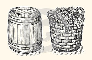 Basket full of grapes freshly picked from vineyard, wooden wine barrel. Winery sketch. Vintage vector illustration