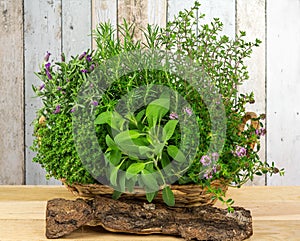 A basket full of herbs for the kitchen.