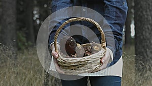 The basket full of mashrooms