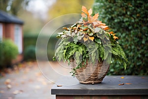 basket full of pruned off leaves next to a topiary