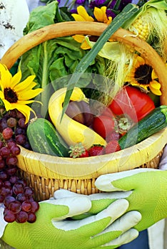 Basket of Garden Vegetables