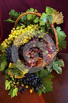 Basket with grapes